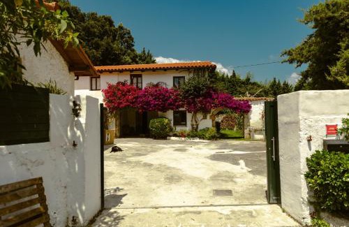 Isla House | La casa de los árboles
