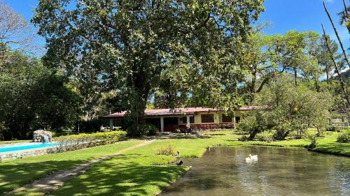 El Valle de Anton House | La Casa de los Patos