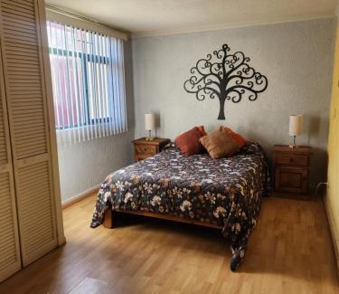 Morelia Apartment | La Casa del Búho