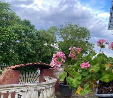 Naples House | La Casa del Bosco - Unique two floors House with garden