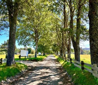 Panguipulli Bed & Breakfast | La Casa del Bosque