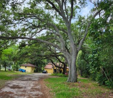 Trailer Estates House | la casa del bosque