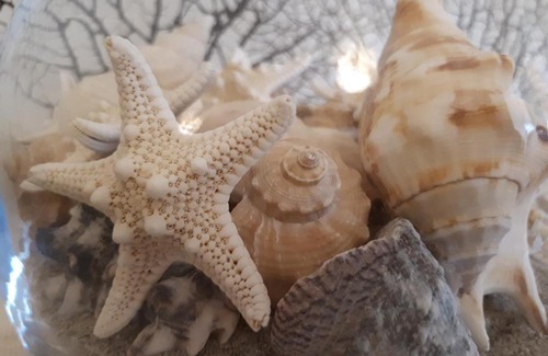 Villasimius House | La Casa delle Conchiglie