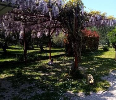 Montignoso Bed & Breakfast | La Casa Gialla A MONTIGNOSO