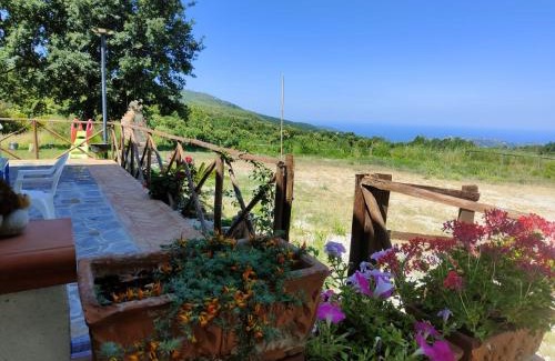 Perdifumo House | La casa in campagna