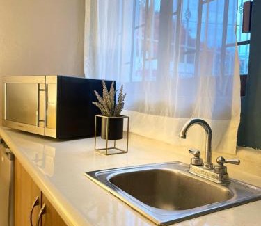 Downtown Cancun Hotel | La casa los alcatraces