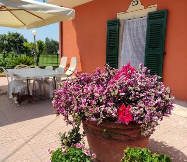 Rezza Apartment | La casa tra verde e mare