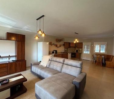 Carracido House | La casa verde