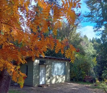 San Carlos de Bariloche Ski Chalet | La casita del bosque
