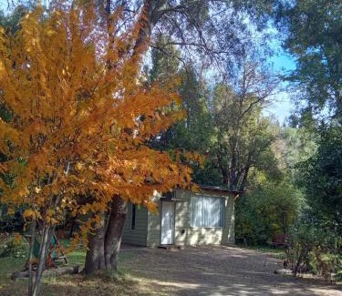 San Carlos de Bariloche Ski Chalet | La casita del bosque
