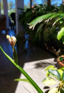 Candelaria House | LA CASITA DE CANDELARIA