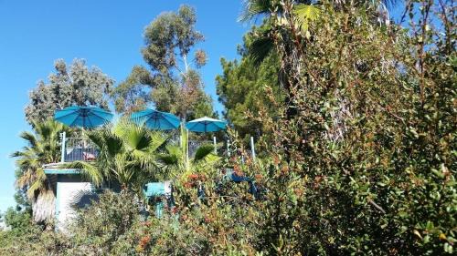Alpine House | La Casita Private Resort Spa and Mini Golf Course