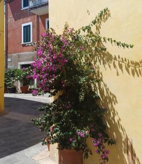Rosignano Marittimo Apartment | La cicala
