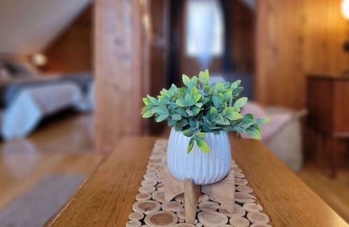 Saint-Faustin-Lac-Carre Cabin | La Coquette Charming and well located Close to Ski