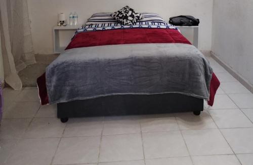 Coyoacan House | La Cortesana
