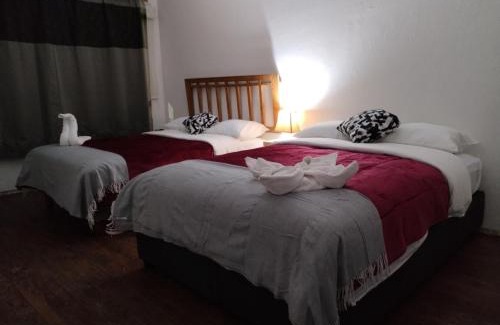 Coyoacan House | La Cortesana