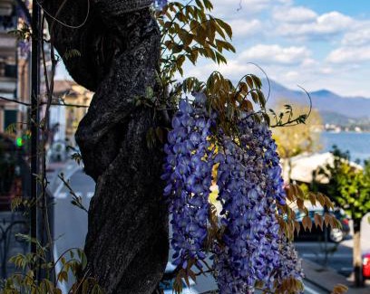 Belgirate Apartment | La Dimora del Glicine