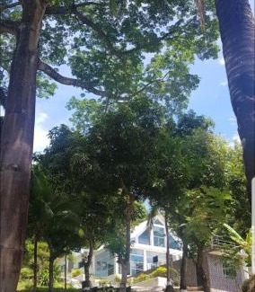 Prado House | LA FLORESTA ISLA DEL SoL