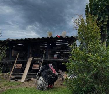 Tumbabiro Cabin | La Fogata l Rancho Chachimbiro