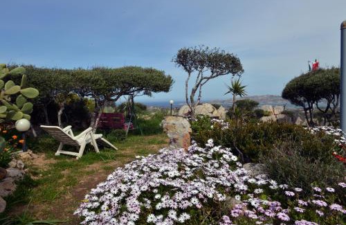 Punta Villa Bed & Breakfast | La Fonte dell'ulivo 3