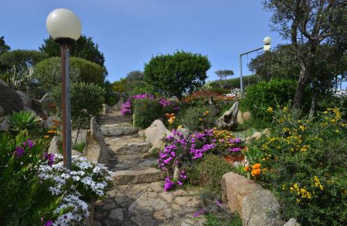 Punta Villa Bed & Breakfast | La Fonte dell'ulivo 3