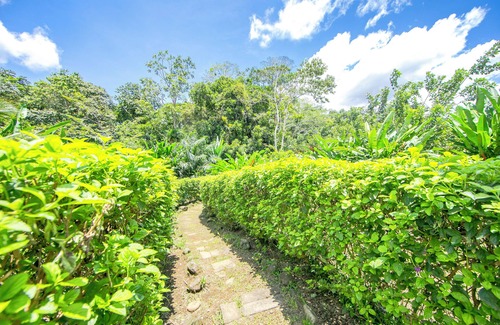 Barrio Pilo House | La Fortuna