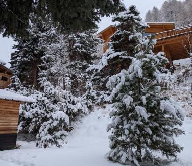 Allos Ski Chalet | La Foux d'Allos Cottage