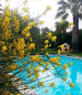 Trani Bed & Breakfast | La Ginestra