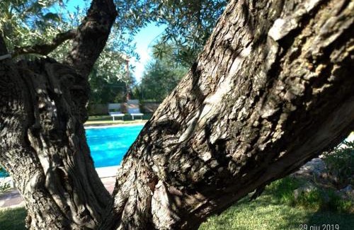 Trani Bed & Breakfast | La Ginestra