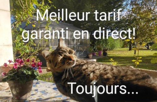 Saint-Genouph Bed & Breakfast | La Grange Dîmière, près de Tours