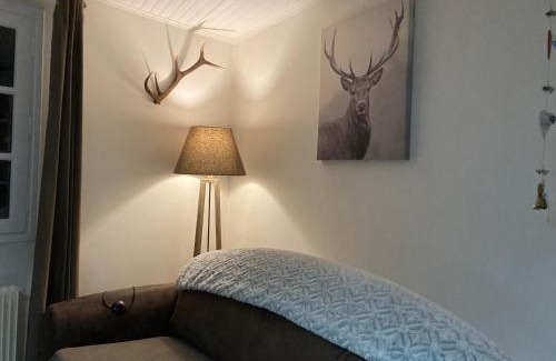 Formigueres Apartment | la grange T2 Centre Ville Jardin WIFI