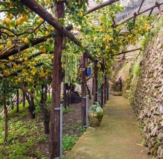 Minori House | #La limonaia della torretta
