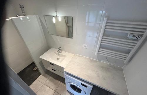 Mont-de-Marsan Apartment | La Loge de Gustave et son patio avec Wifi et parking privée