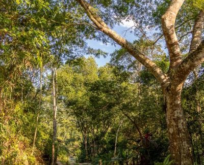 Paraty Ski Chalet | La Luciole Ecolodge