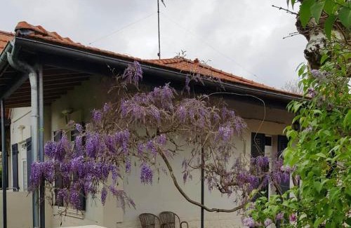 Lanton House | La maison d Irma à plage à 700 m