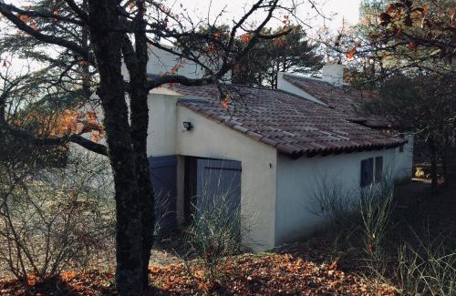 Plan-d'Aups-Sainte-Baume House | La maison de Mado et sa cabane dans les arbres