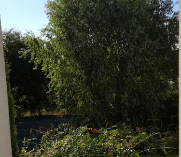 Herrlisheim-pres-Colmar Bed & Breakfast | La Maison D'ayona