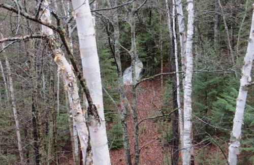 Mauricie Bed & Breakfast | La maison sous les arbres