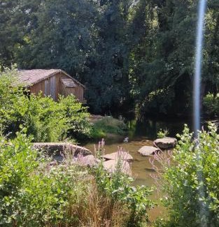 Semur-en-Auxois House | La maisonette du bateau lavoir
