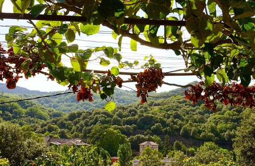 La Tour-Sur-Orb Villa | La Mirande Villa on the river Orb Vineyards Perfect for Weddings
