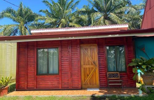 Palma House | La Mochis
