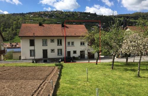 La Bresse Apartment | La montagne