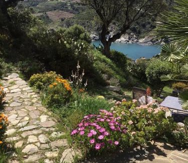 Cerbere Apartment | La Nicrom
