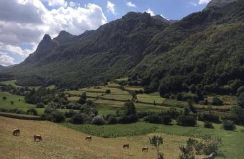 Somiedo Apartment | La Osera del Coto