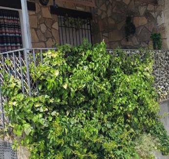 San Juan de Gredos House | La Pasailla de Gredos