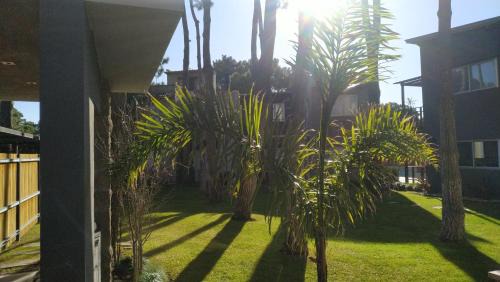 Pinamar Apartment | La Pedrera