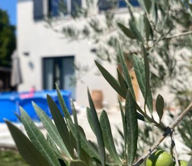 Paluds de Noves Villa | La Petite Bastide en Provence