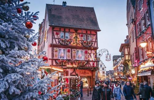 Colmar Apartment | La petite Luss