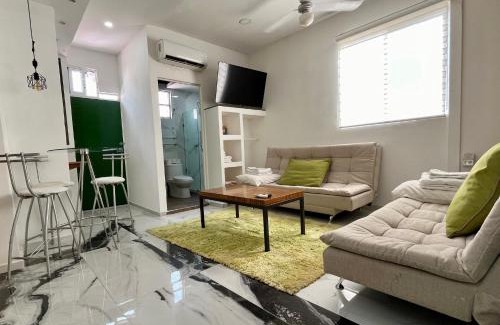 Emiliano Zapata Apartment | La Puerta Blanca Penthouse #8