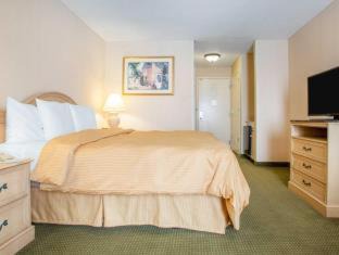 South Holland Hotel | La Quinta Inn & Suites by Wyndham South Holland